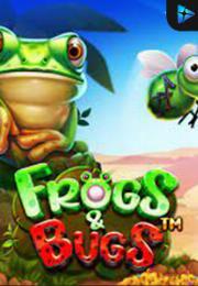 Frogs & Bugs